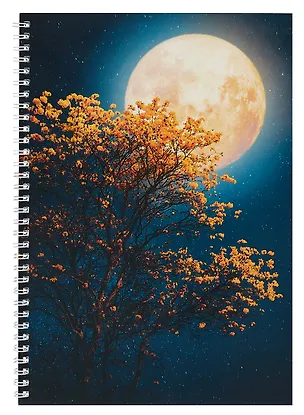 Тетрадь в клетку Listoff, "Лунная ночь", А4, 60 листов 3010847