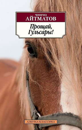 Прощай, Гульсары!