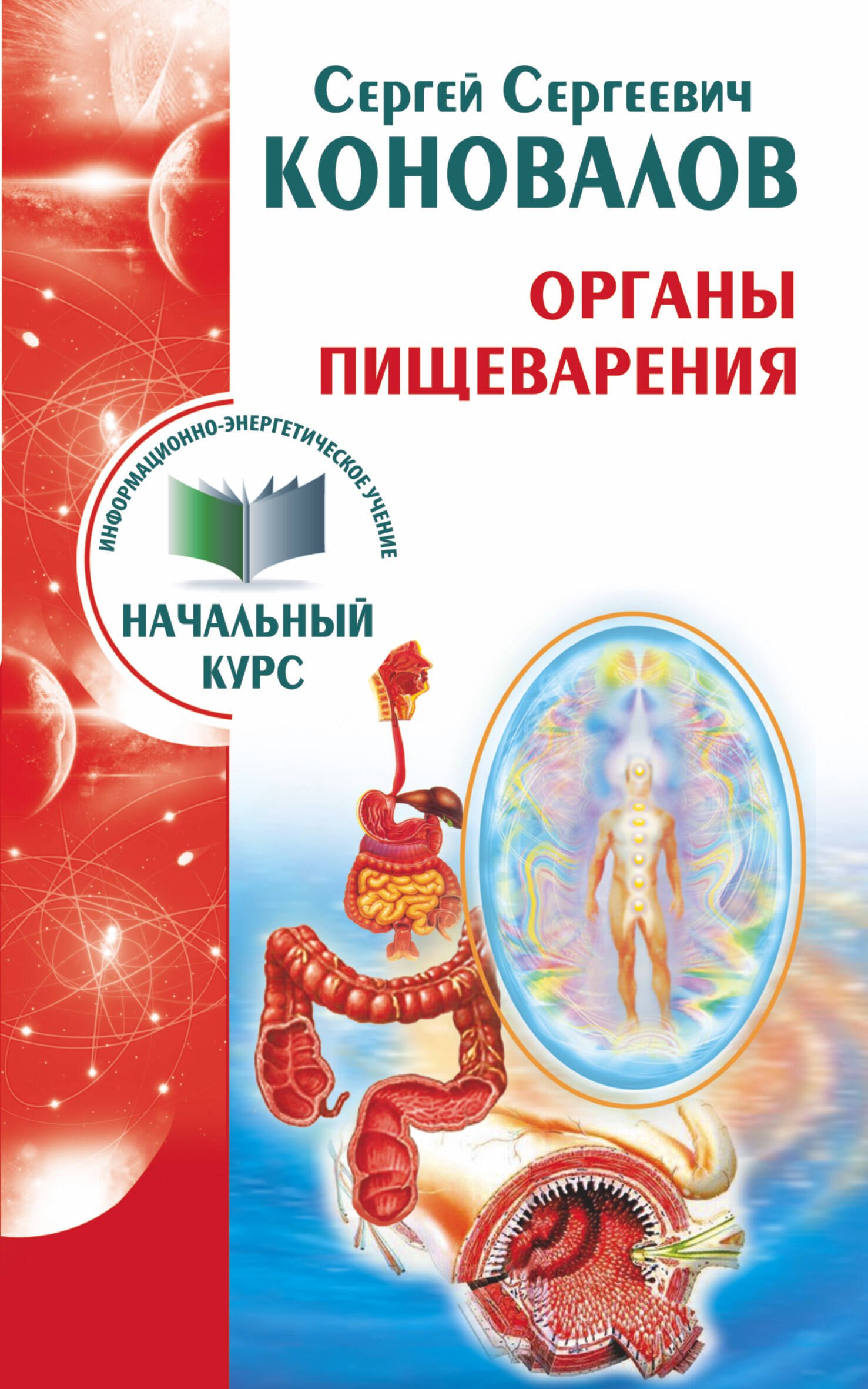 

Органы пищеварения