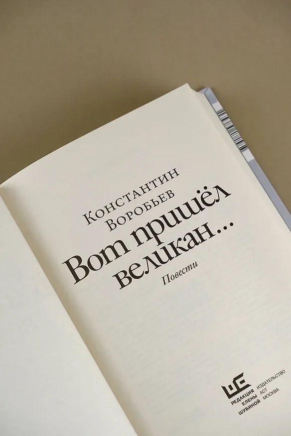 Книга Вот пришел великан... (Константин Воробьев) — 9