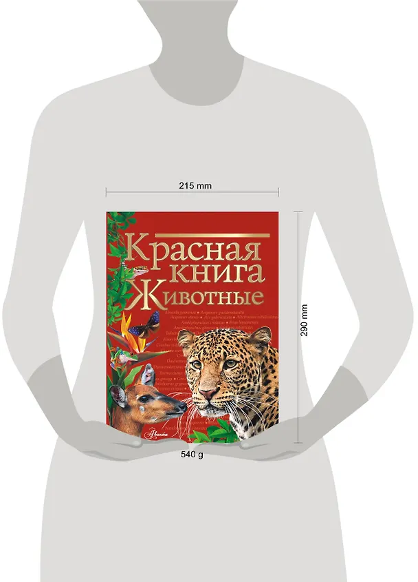 Книга Красная книга. Животные (Наталья Куксина) — 6