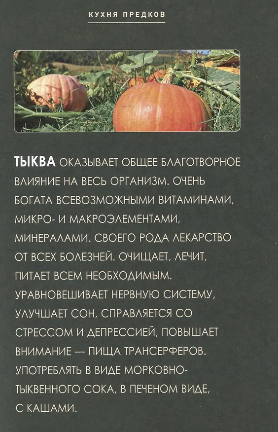 Книга Кухня предков. Пища силы (Вадим Зеланд) — 5