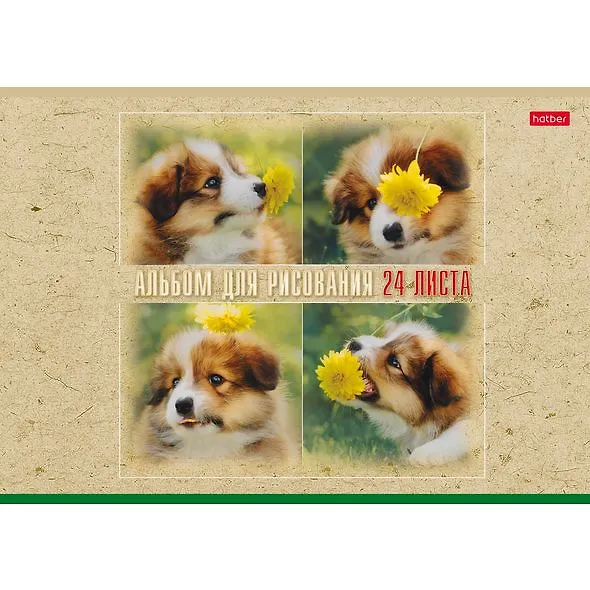 Альбом для рисования «Ассорти» Hatber А4, 24 листа, скрепка 250782 — 6