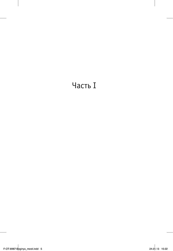 Книга Немезида (Ю Несбё) — 8