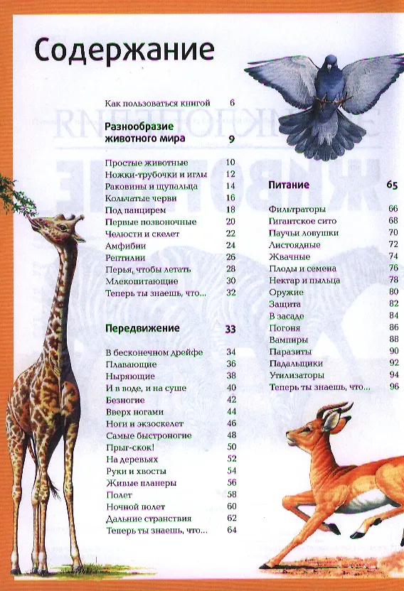 Книга Животные (Никола Дэвис) — 2