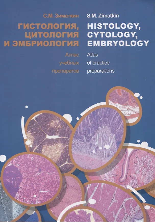 Книга Гистология, цитология и эмбриология. Атлас учебных препаратов / Histology, Cytology, Embryology. Atlas of practice preparations (Сергей Зиматкин) — 1
