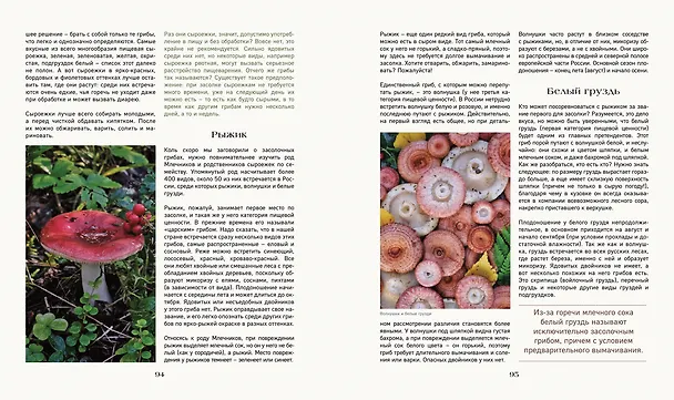 Книга Тайная жизнь леса. Русская природа в фактах и зарисовках (Наталья Савилова) — 10