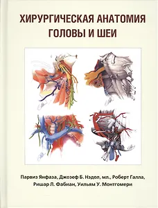 Хирургическая анатомия головы и шеи