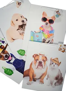 Пакет подарочный бумажный А4 26*32*12.5 "Funny animals", дет., мат. ламинат, Kairui