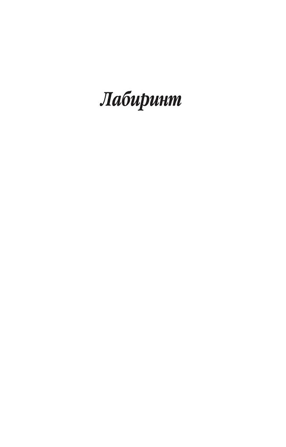 Книга Лабиринт (Франц Кафка) — 9