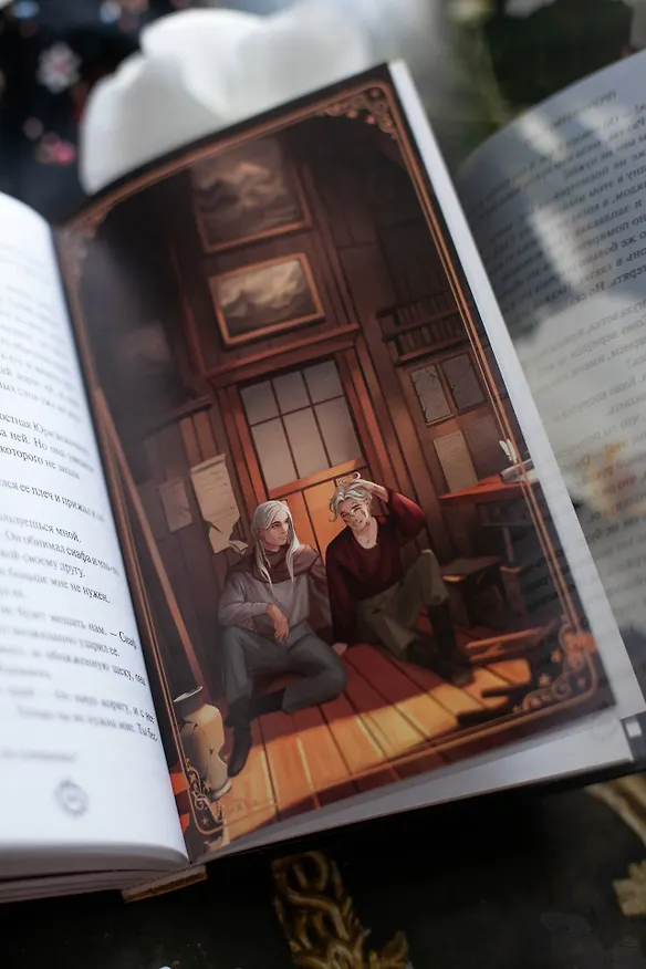 Книга Пророчество тьмы (Анви Рид) — 14