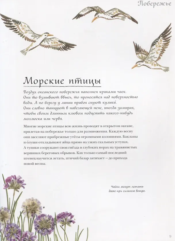 Книга Жизнь в океане (Хелен Апорнсири) — 7