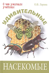 Удивительные насекомые