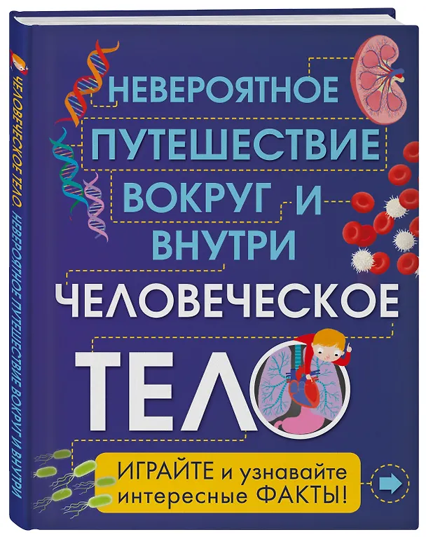 Книга Человеческое тело. Невероятное путешествие вокруг и внутри (Анна Клейборн) — 4