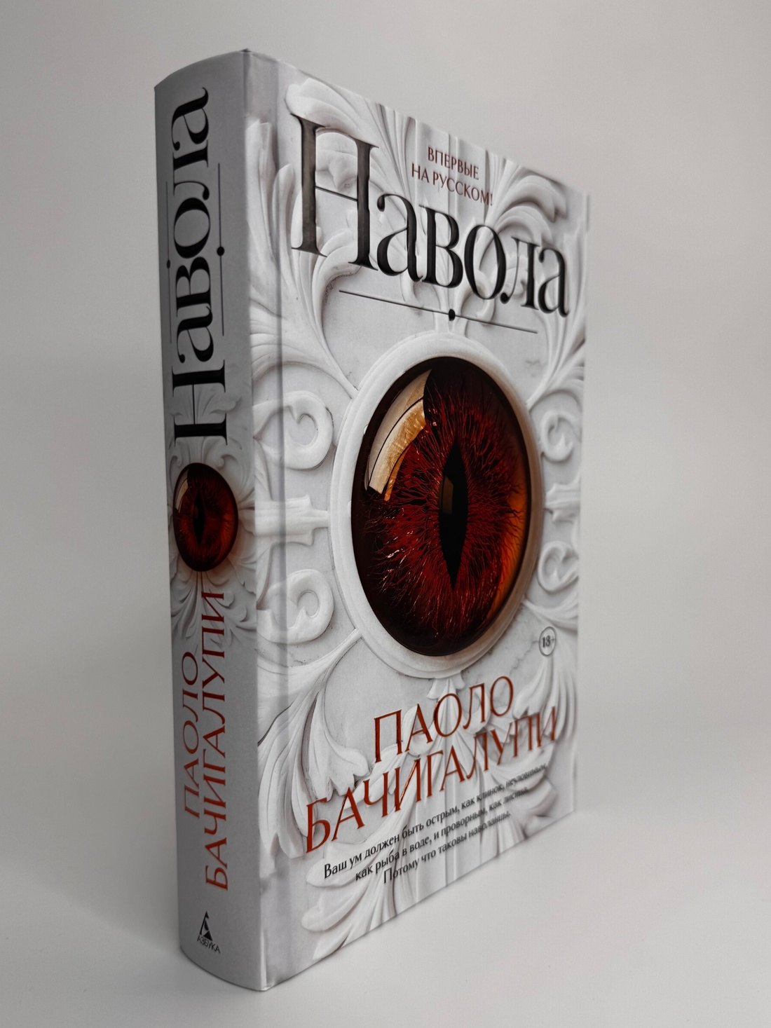 Изображение бумажной книги