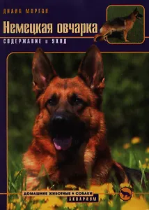 Немецкая овчарка. Содержание и уход