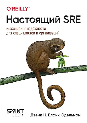 Книга Настоящий SRE: инжиниринг надежности для специалистов и организаций (Дэвид Н. Бланк-Эдельман)