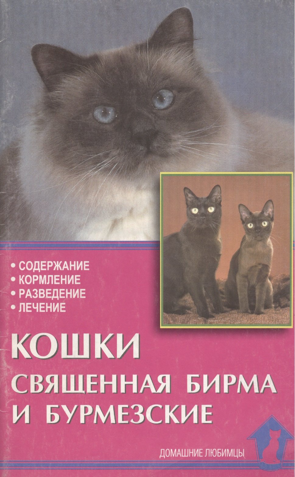 

Кошки священная бирма и бурмезские