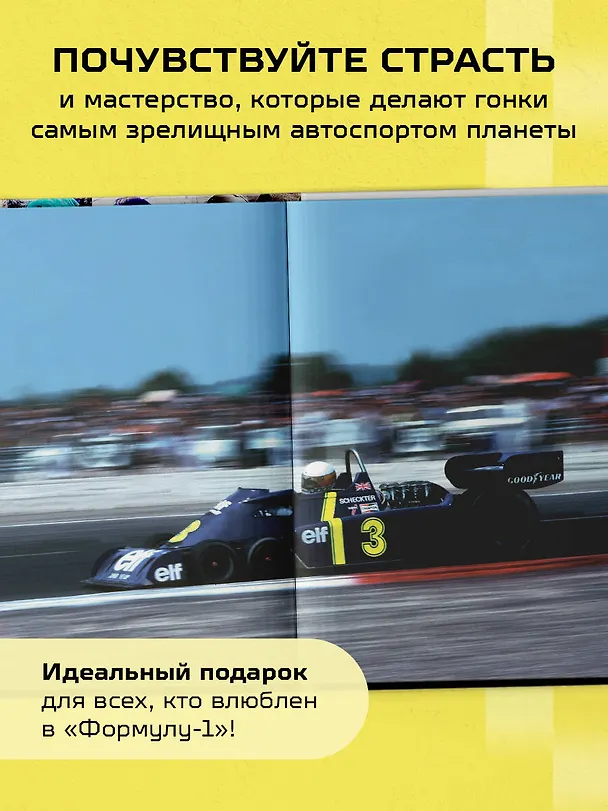 Книга Большая книга Формулы-1. 80 лет шума и ярости (Жан-Луи Монсе, Ален Перно, Джонни Ривз) — 11