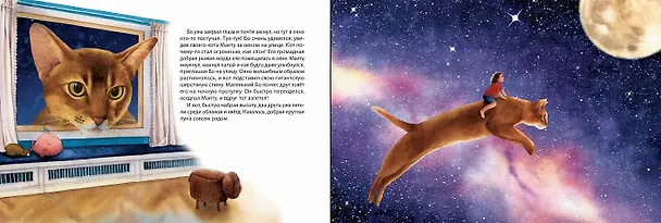 Книга Удивительные приключения Маленького Бо (Анна Дахнович) — 2