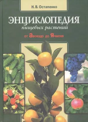 Энциклопедия пищевых растений от Авокадо до Ячменя (Остапенко) — 2416993 — 1