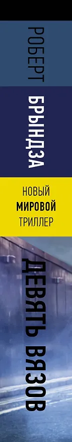 Книга Девять вязов (Роберт Брындза) — 3