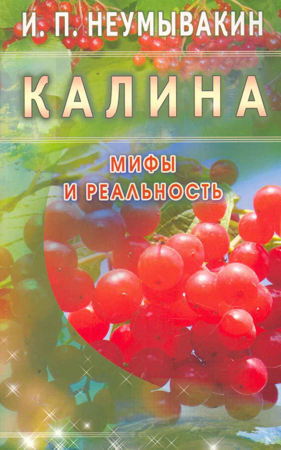 

Калина. Мифы и реальность