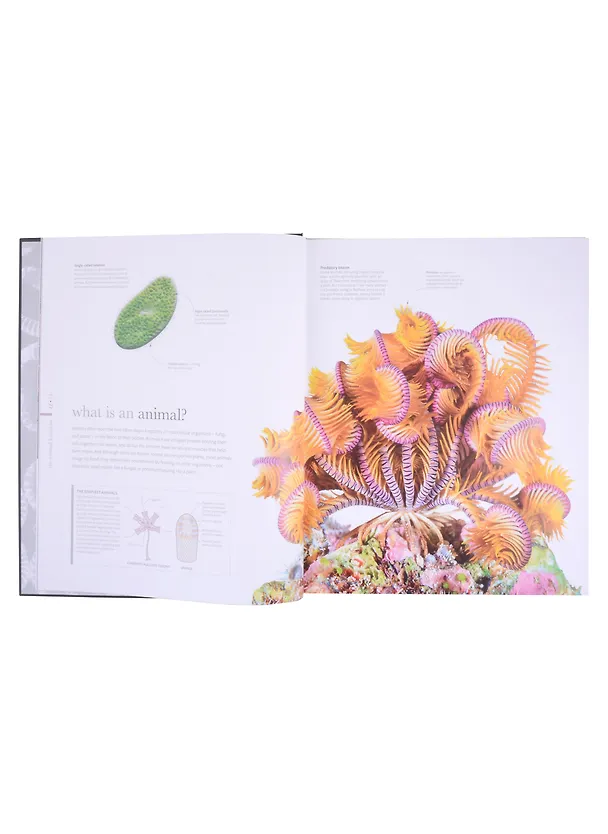 Книга The Science of Animals (Chris Packham) — 4