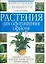 Растения для оформления офисов — 2055952 — 1
