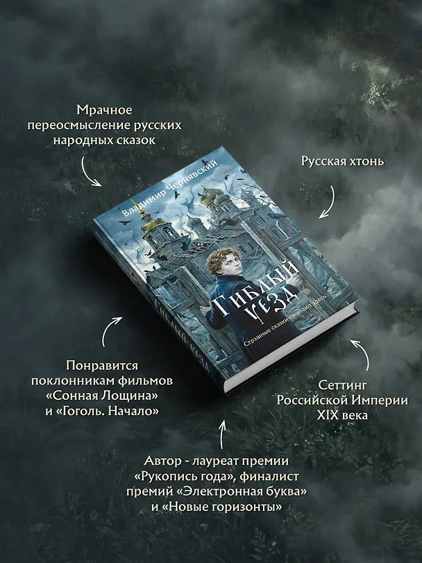 Книга Гиблый уезд (Владимир Чернявский) — 8