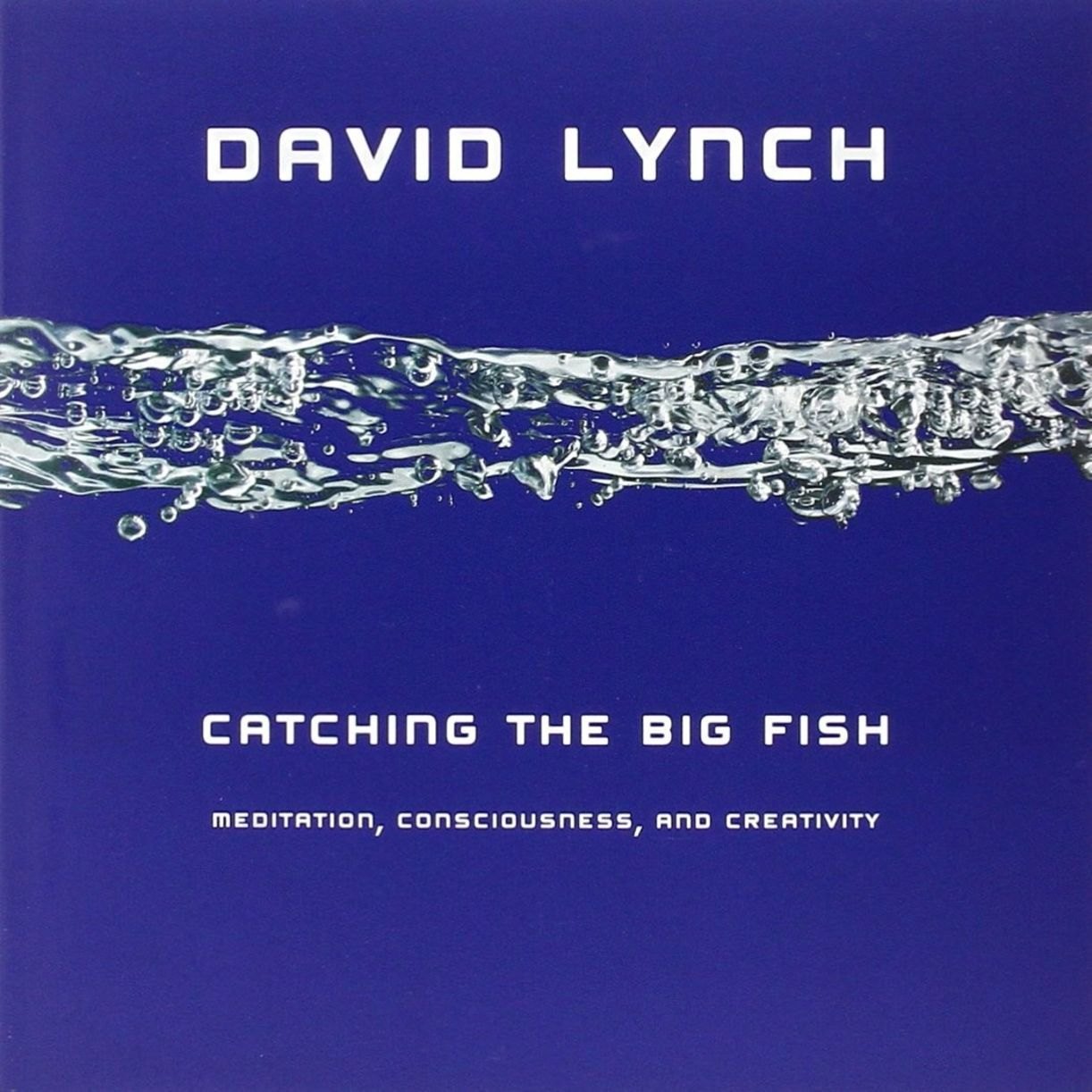 Catching the Big Fish : Meditation, Consciousness and Creativity