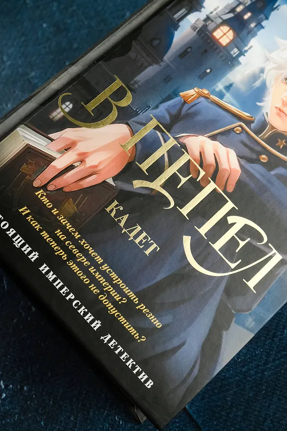 Книга В пепел. Кадет (Юлия Ода) — 8