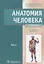 Анатомия человека : учебник : в 2 томах . Т.1 — 2638142 — 1