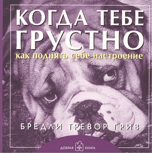 Книга Когда тебе грустно... Как поднять себе настроение Брошюра (обложка с клапанами) (Бредли Грив) — 1