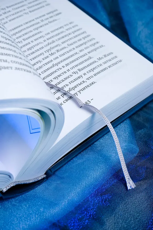 Книга Хаски и его учитель Белый кот. Книга 1 (Жоубао Бучи Жоу) — 18