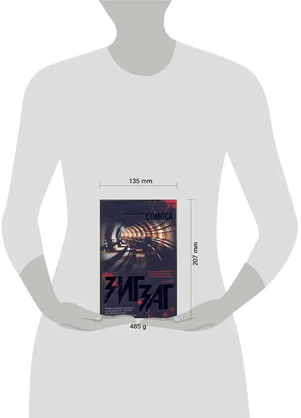 Книга Зигзаг : [роман] (Хосе Сомоса) — 2