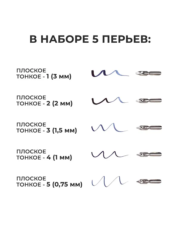 Перья для каллиграфии 05шт с косым держателем, блистер, Малевичъ 2939005 — 4