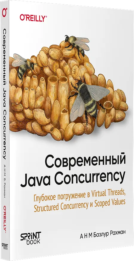 Книга Современный Java Concurrency. Глубокое погружение в Virtual Threads, Structured Concurrency и Scoped Values (А Н М Базлур Рахман) — 2