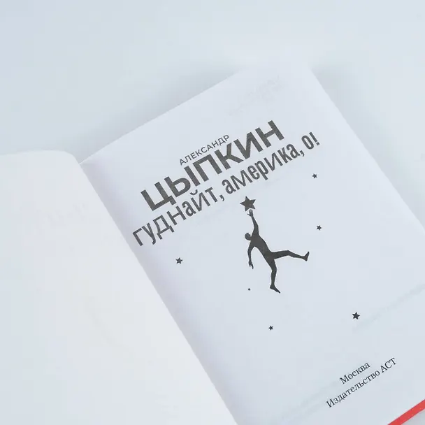 Книга Гуднайт, Америка, о! (Александр Цыпкин) — 8