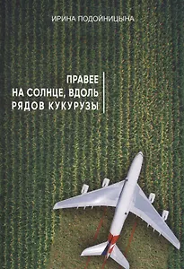 Правее на солнце, вдоль рядов кукурузы