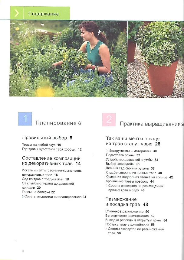 Книга Лекарственные и пряные травы () — 2