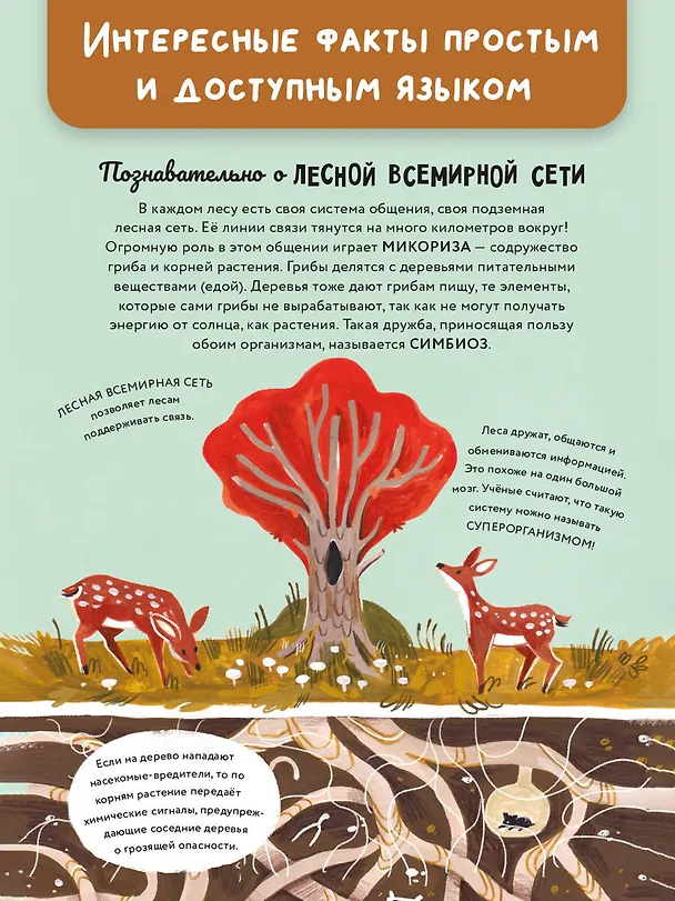 Книга Чудеса природы. Пятиминутные истории для детей (Гэбби Дауни) — 8