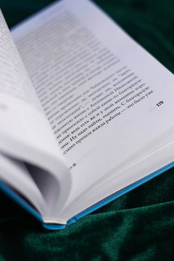 Книга Чайковский. История одинокой жизни (Нина Берберова) — 12