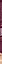Недоросль — 3166221 — 3