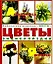 Цветы от Агапантуса до Яснотки. Энциклопедия — 1881768 — 2