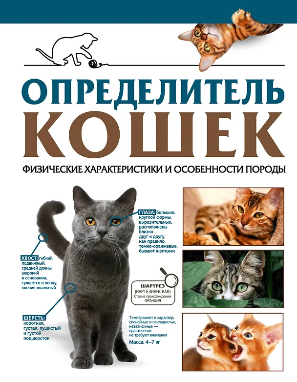 Книга Определитель кошек. Физические характеристики и особенности породы (Дмитрий Смирнов, Анна Спектор) — 1