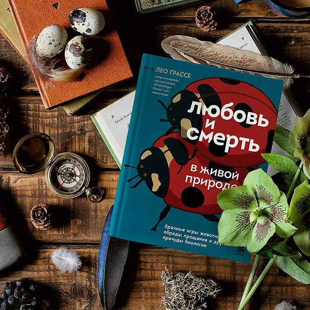 Книга Любовь и смерть в живой природе. Брачные игры животных, обряды прощания и другие причуды биологии (Лео Грассе) — 5