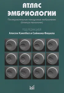 Атлас эмбриологии. Последовательные покадровые изображения.