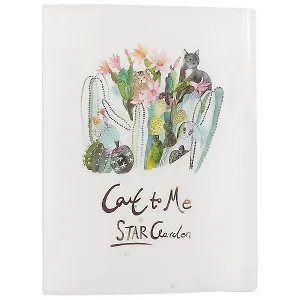 Папка с файлами «Cat to me»