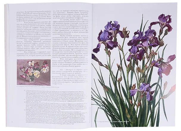 Книга Как писать цветы. Часть II. Тайна цветка, тайна цвета. Учебно-методическое пособие (Сергей Андрияка) — 6